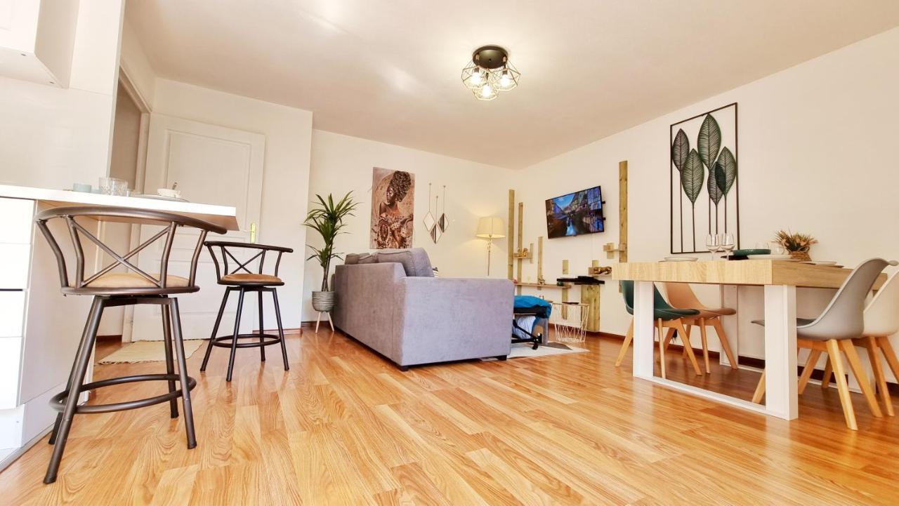 Le Stan - Centre - Parking - Exterieur - Fibre - Relax Bnb كولمار المظهر الخارجي الصورة